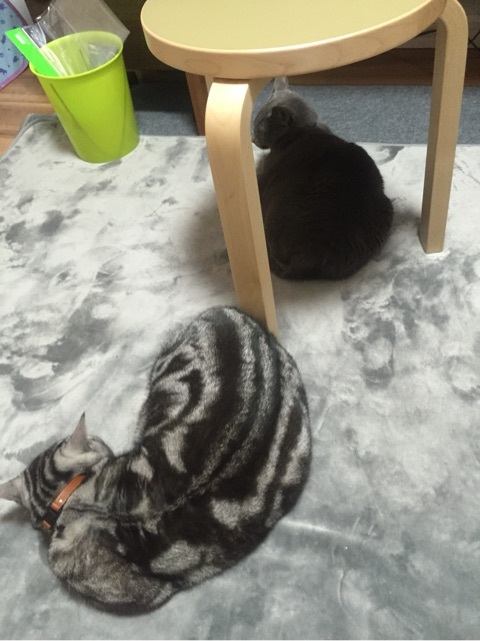 {229232C2-A9B4-4084-90BE-995D1FB4F185:01}