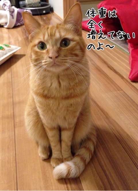 {27180B64-7B11-4737-99CB-E9F8F2AB6554:01}