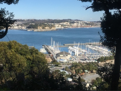 {4491EDDF-EF33-4A0D-A80A-DAEAF2AC50AB:01}