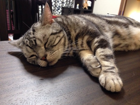 {8045D0F9-238F-41AE-8D28-2E716A115B61:01}