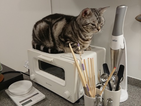 18-12-21-08-04-17-384_deco