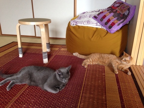 {839275C9-867A-4329-9594-40C701FD207E:01}