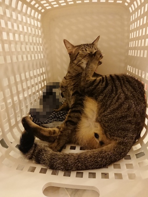 Point Blur_20180716_203813