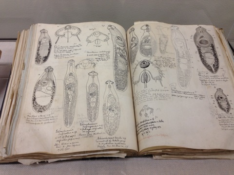 {2D7E7404-8668-49C5-BE71-54393A861EDB:01}