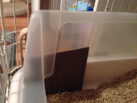 {A3804924-35EF-4A70-BB65-F41F3AEE40CF:01}