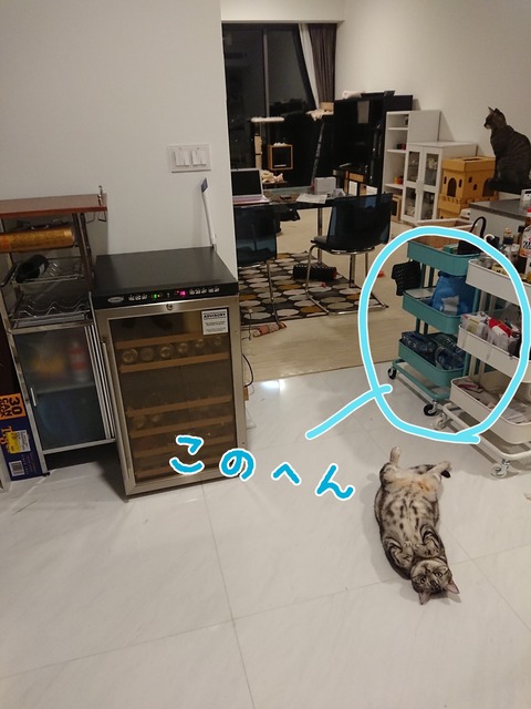 18-12-11-10-51-45-609_deco