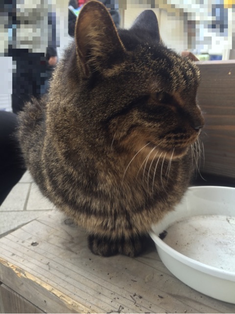 {611D50B9-7846-4823-B877-C8B751CFEBFE:01}