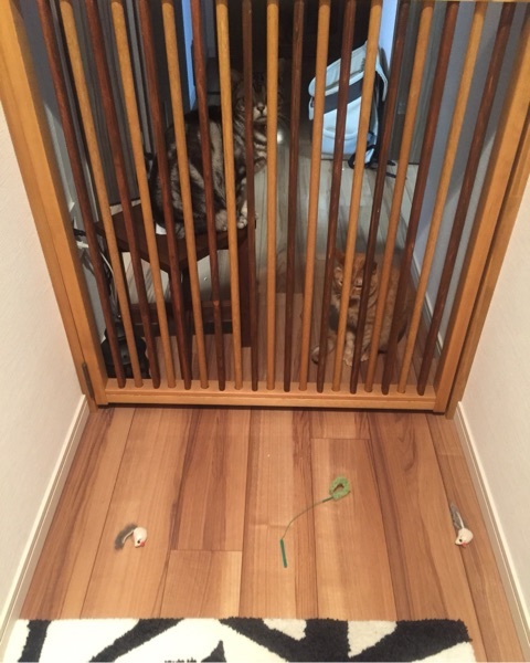 {1AC0E69F-4E64-4F67-A3DD-FBD0DDB5B0E1:01}