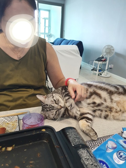 20-09-16-12-35-41-057_deco