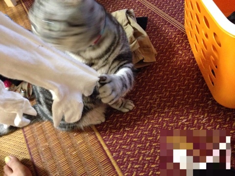 {EB2F5A57-4E4D-47AD-8369-2321296C5699:01}