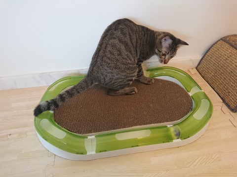 DSCPDC_0000_BURST20180409153831962