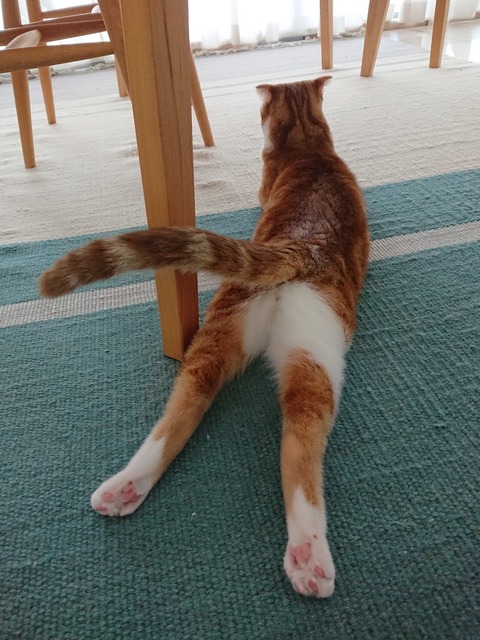 DSCPDC_0002_BURST20190419143020895