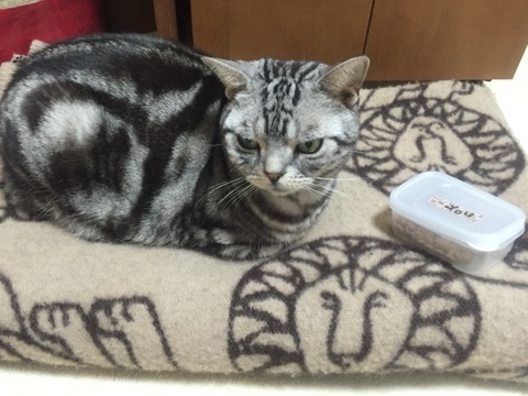 {FDF9AFDC-68E6-4A20-BDD3-B323B2D873A8:01}