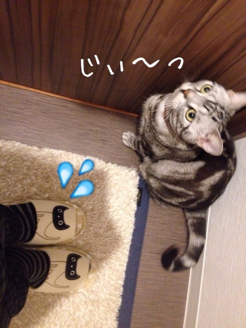 {41286472-31A3-454B-8484-0DC587386361:01}