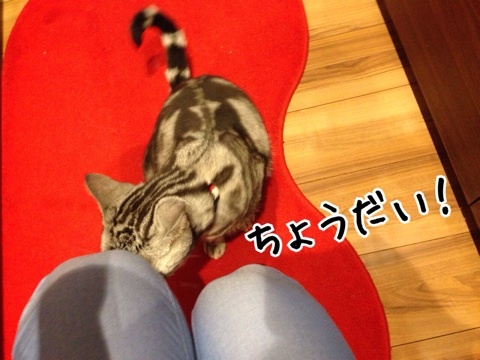 {383952A5-54CD-4116-A6AF-C93C27F316DA:01}