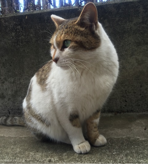 {52C6E12D-EE89-4223-977B-32FA85EA530E:01}