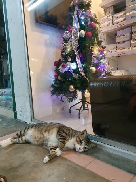 20191211_222823