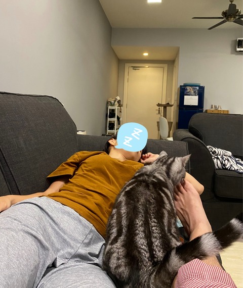 21-11-17-10-36-43-150_deco