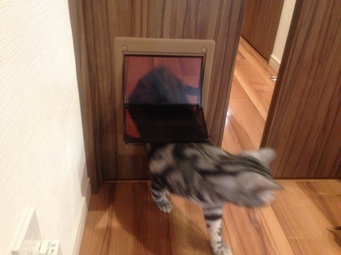 photo:04