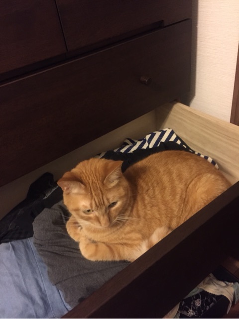 {0AAFFCE3-D6AC-42B5-AA6F-CD4F1ED92385:01}