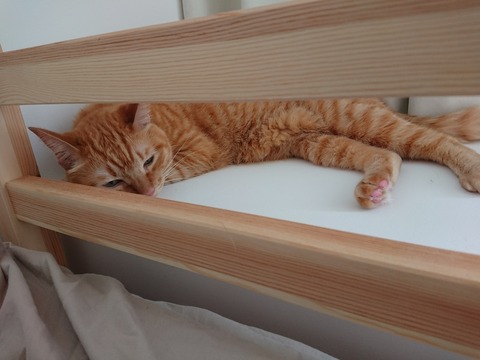 [画像:132775fd-s.jpg]