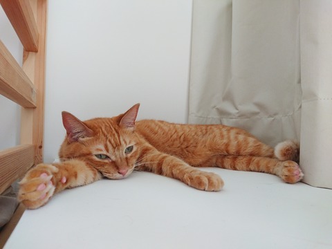 [画像:134c5f65-s.jpg]