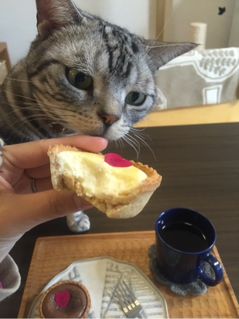 {8F03D5F6-9032-488D-8890-234D82857775:01}