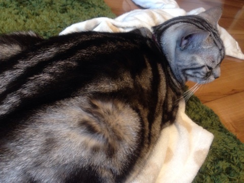 {334F72F0-FC6D-4C01-BB00-89D6A1E318E0:01}
