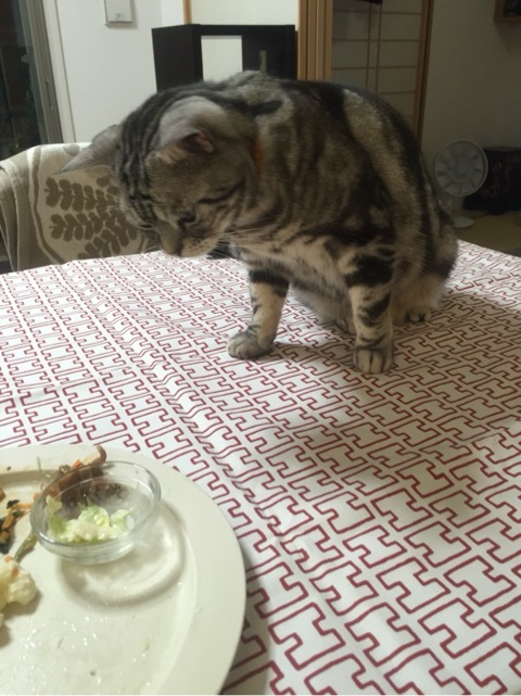 {3DFA586F-4EFA-4EF9-9862-BA7DBFD53283:01}