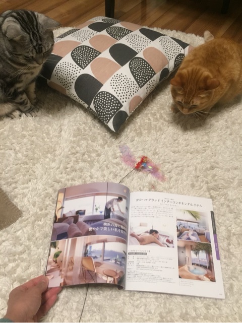 {35046C53-59B2-4251-8278-7BA56E1D5F1D:01}