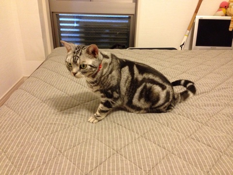 {5D16E877-B689-4511-846D-929DBDDE40C2:01}