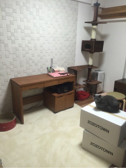 {0A3EC0F7-9EE5-4F73-83F0-0761B92A5D71:01}