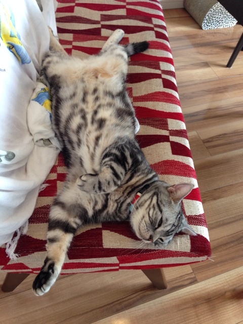 {E89F9E02-817E-4762-BA3F-3A725FC7EBEA:01}