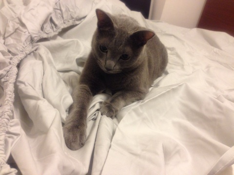 {8C120528-3ACD-44D3-AD8B-27A78F5F76FF:01}