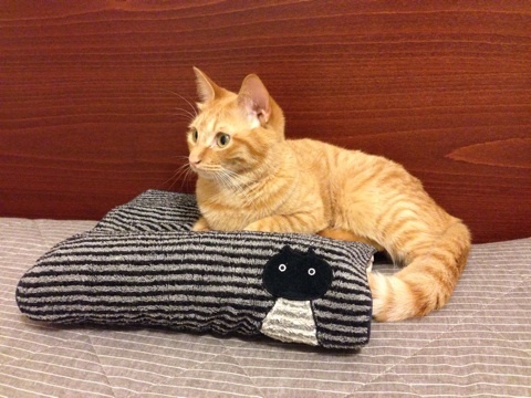 {155C2FFE-1332-40DE-9762-C23A6F8C9CB5:01}