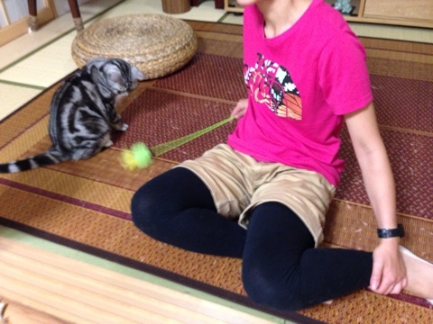 {D8DA4827-65DF-4DAC-98B7-799B077F2A53:01}