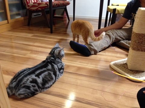 {A33C4383-EBF0-468E-B54C-E47FB5C0A938:01}