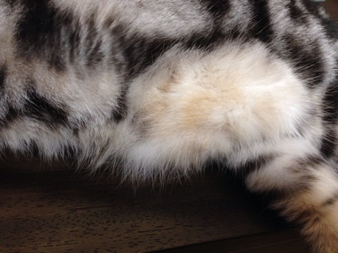 {5B3AD3A2-5C37-4C63-9A6E-74966CF7FFFB:01}