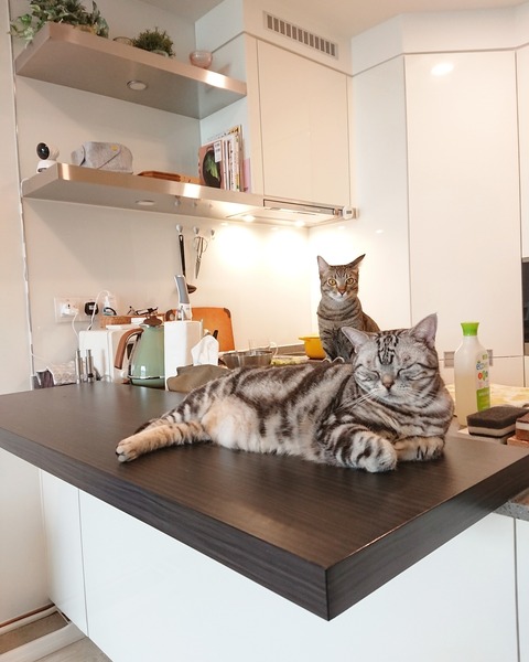 IMG_20181221_073606_136