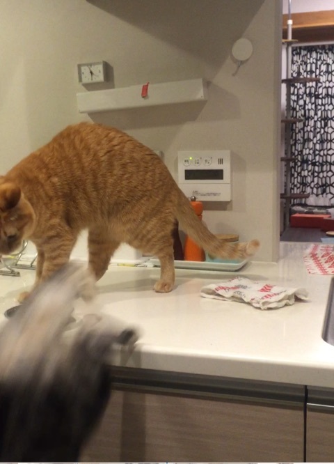 {E81D6548-78B9-4287-AA47-9223B683DC10:01}