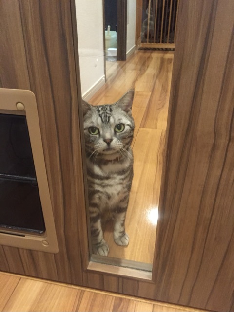 {927FE959-91B3-48A7-9A70-B8DAA6CECD2B:01}