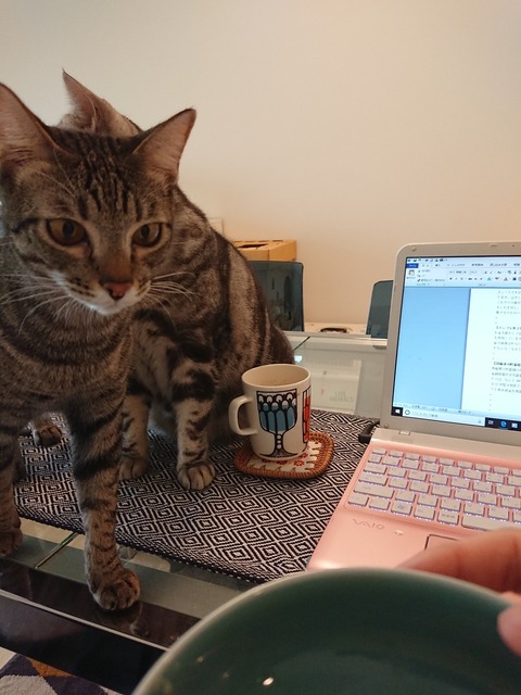 DSCPDC_0002_BURST20190125154726975_COVER