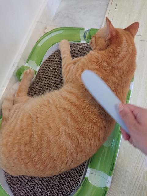 DSCPDC_0003_BURST20180411134128226_COVER