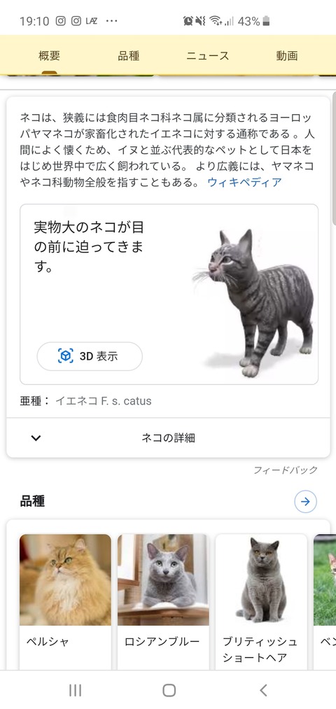 Screenshot_20190930-191016_Chrome