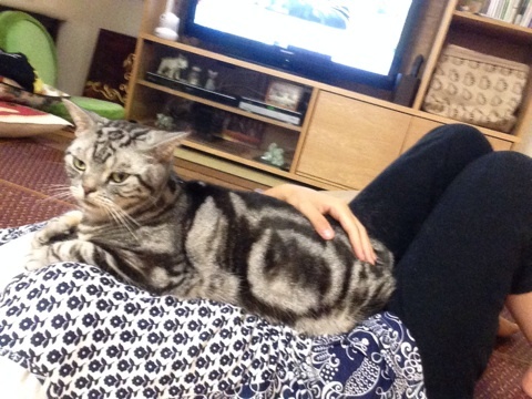 {8A59ECB5-9BEE-4E6F-8D89-28C5AD0F5C86:01}