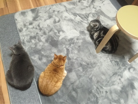 {CE41F683-2B30-440B-8D4E-7922B62F5F3F:01}