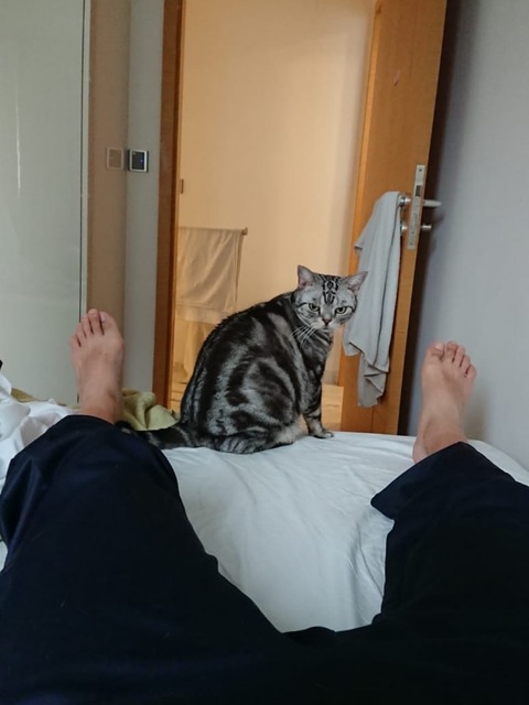 18-11-24-21-07-08-546_deco