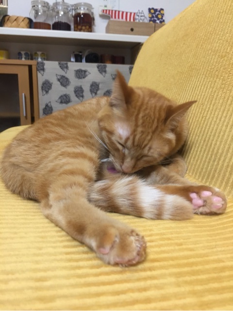 {44DA0D02-31F3-4F3A-A96A-FCCB71497953:01}