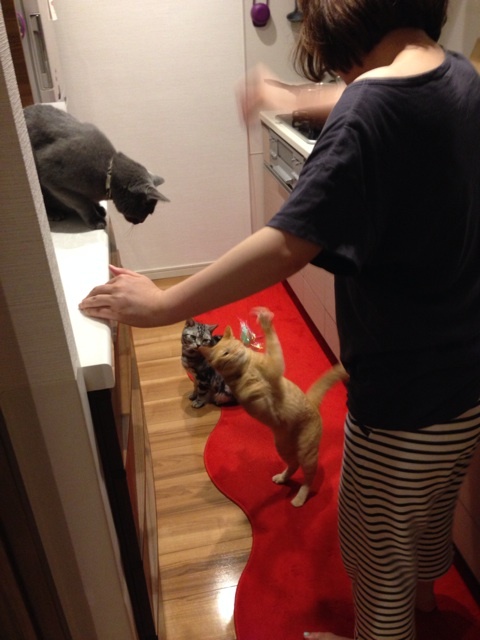 {C08A6905-19DE-49D5-8DDD-5D13F9B06EE4:01}