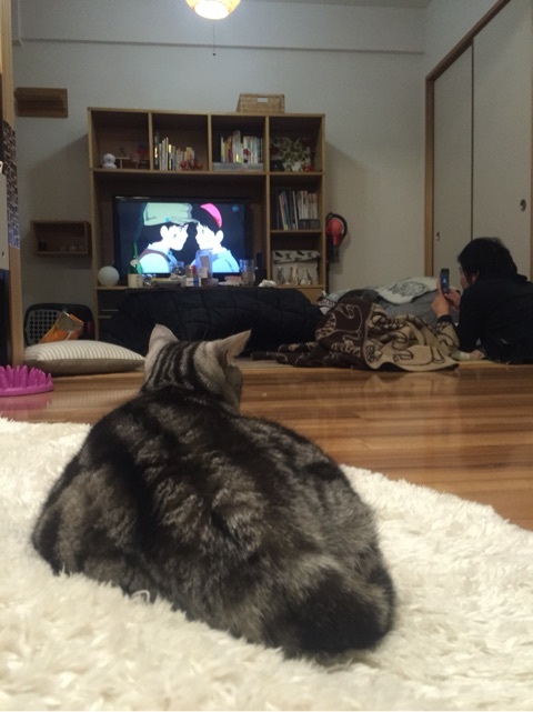 {453EA3DA-9BF1-4D6C-A60E-0C5BA9A94907:01}